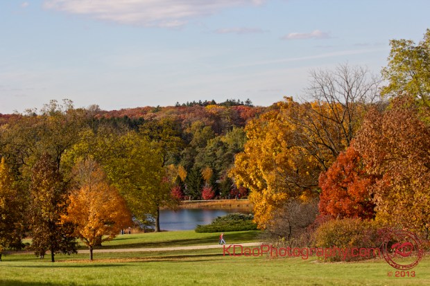 Morton Arb 20131103 001