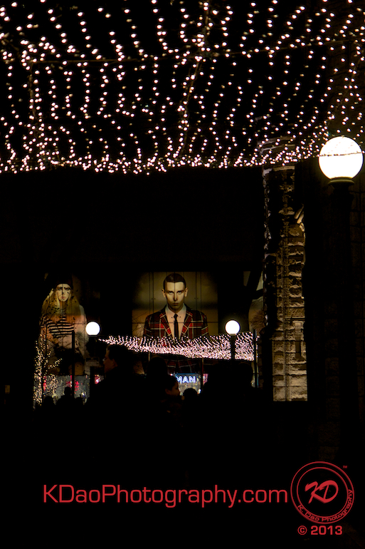 Thanksgiving 2013 Shoppers