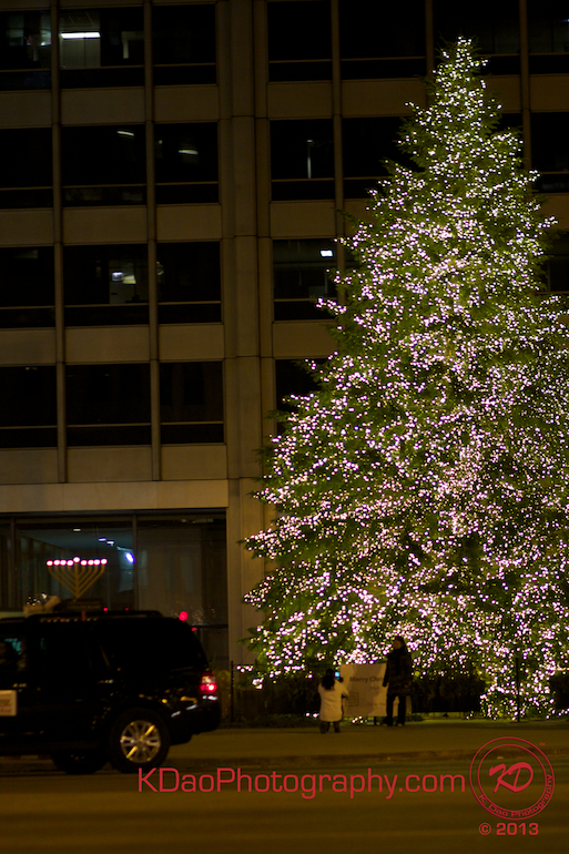 Thanksgiving 2013 Shoppers